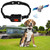 PFC810 GPS Dog Fence