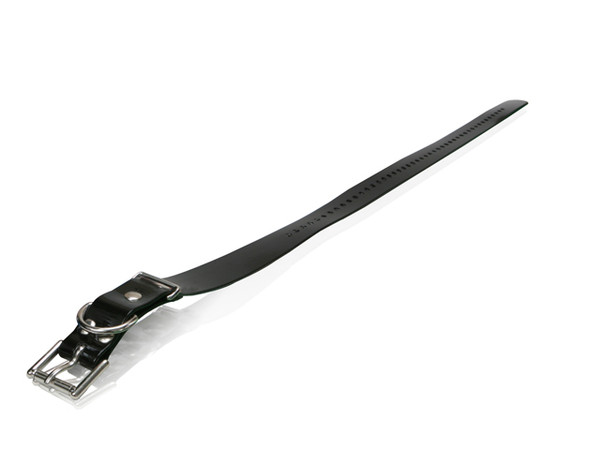 Strap | Assorted Colours