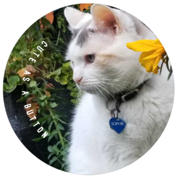 Personalized "Cute As A Button"...Button