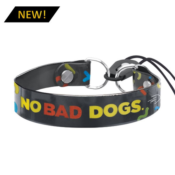 Bungee Collar | Tom Davis Special Edition
