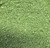 17 - Lime