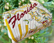 Florida Map Towel