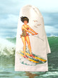 Wendy Waterskis flour sack kitchen towel