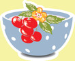 Bowl of Cherries Sticker