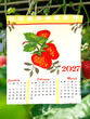 2027 Blue Ribbon Strawberries Calendar Tea Towel