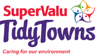 TidyTowns Ireland 2025 Adjudicators' Report