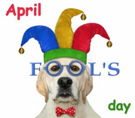What Fool Leaves Dog Fouling Behind?