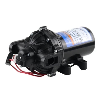 Everflo 12-Volt Pumps