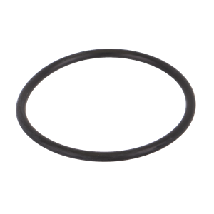 Banjo LS100 | 1" Line Strainer