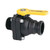 Banjo VSF204FP | 2" FP Valve Male Adapter X FNPT