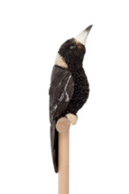 Pencil - Magpie