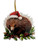 Echidna - Christmas Tree Ornament - 11cm