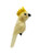 Magnet - Cockatoo 7-9cm