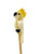 Pencil - Cockatoo