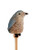 Pencil - Fairy Penguin