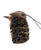 Akubra Hat Hanging Ornament - Echidna 7-9cm