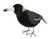 Magpie - Large 31cm