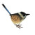 Blue Wren Male (Medium) 10cm