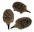 Echidna Small (Set of 3) 6cm