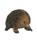 Echidna - Large 22cm