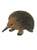 Echidna - Large 22cm