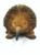 Echidna - Large 22cm