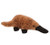 Platypus - Medium15cm