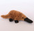 Platypus - Medium15cm