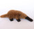 Platypus - Large 38cm