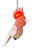 Hanging Ornament - Major Mitchell 7-9cm