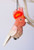 Hanging Ornament - Major Mitchell 7-9cm