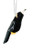 Hanging Ornament - Magpie 7-9cm