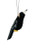 Hanging Ornament - Magpie 7-9cm