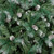Christmas Tree - Bayville Pine with Multi Function Lights - 7.5 foot 229cm