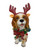 Christmas Dog - KING CHARLES CAVALIER 30cm