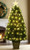 Fibre Optic Tree Gold Trim 90cm
