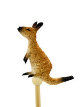 Pencil - Kangaroo