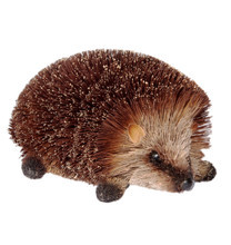 Hedgehog Crawling - Medium