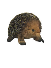Echidna - Large 22cm