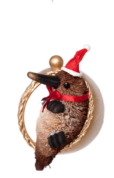 Platypus - Bristlebrush Christmas Bauble - 13cm