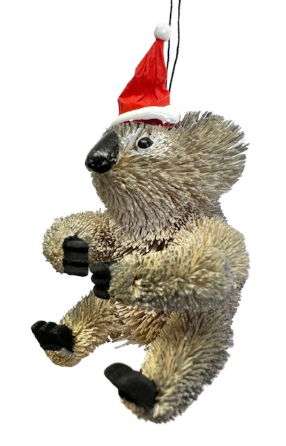 Koala - Bristlebrush Christmas Ornament - 10cm img