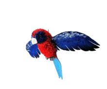 12-14cm Crimson Rosella Buri Palm Ornament with Wings - Christmas Decor img
