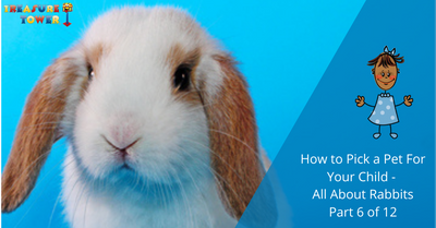 How To Pick A Pet For Your Child - All About Rabbits Part 6 of 12