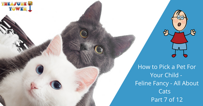 How To Pick a Pet For Your Child - Feline Fancy - All About Cats - Part 7 of 12 