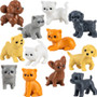 Paw Pals - It's Raining Kittens and Puppies! - 250/Pkg.