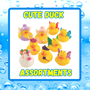 Ducks - Cute  Assortment - 12/Pkg - 2 inch. This Tub Toy is for 3+ years.