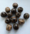 3054 8mm Patikan Palm Wood Beads - 60 Beads