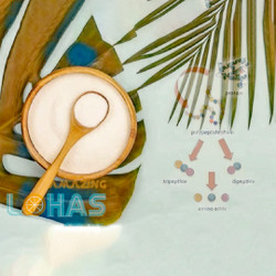 最有效的膠原蛋白？