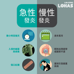 分別「發炎」及「抗炎」食物