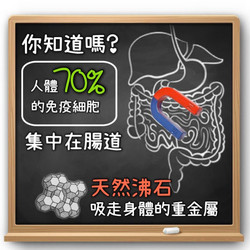 ​人體最強大的免疫器官—腸道